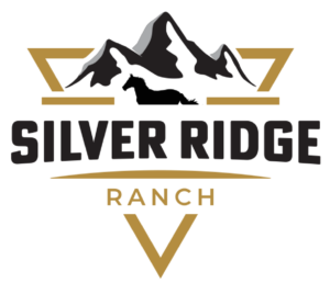 Screenshot 2025-12-10 at 11.33.31 AM